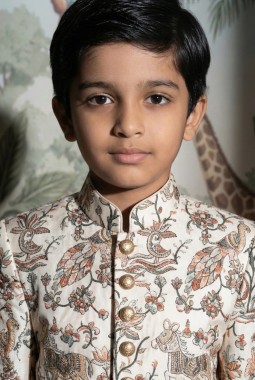 Beige Art Silk Embroidered Boys Nawabi Indo Western